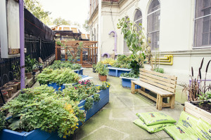 Edible_Schoolyard_Garden