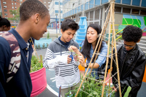 garden_teacher_middle_school_lesson