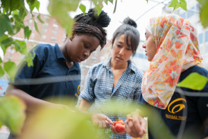 garden_teacher_students_tomatoes_lesson