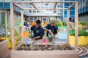 gardening_lesson_students_working