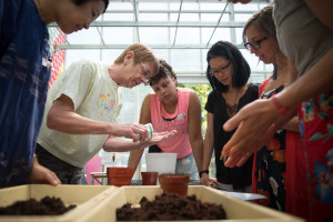 greenhouse_working_together_soil