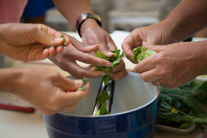cooking