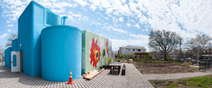 FieldCondition_garden_view