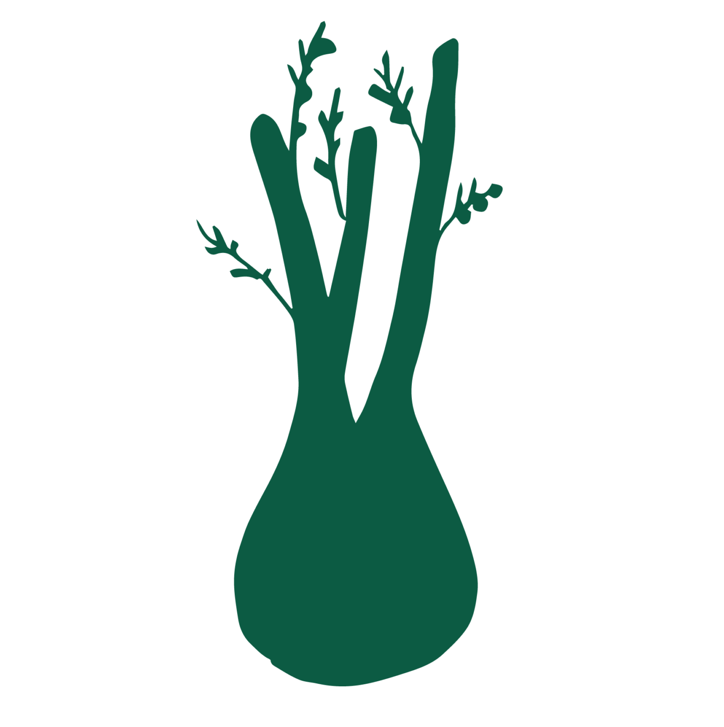 bronze fennel Edible Schoolyard NYC