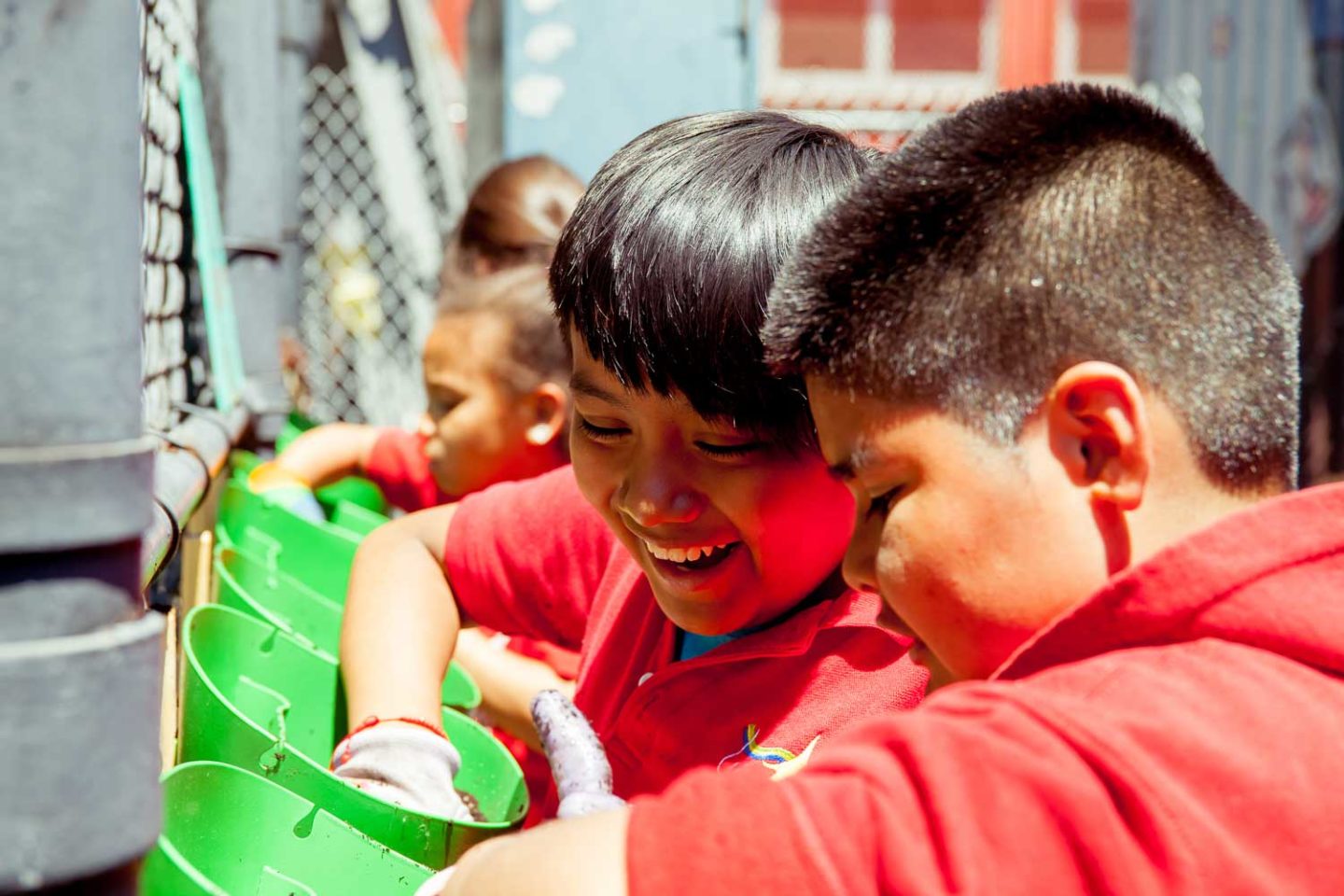 Growing Green Schools