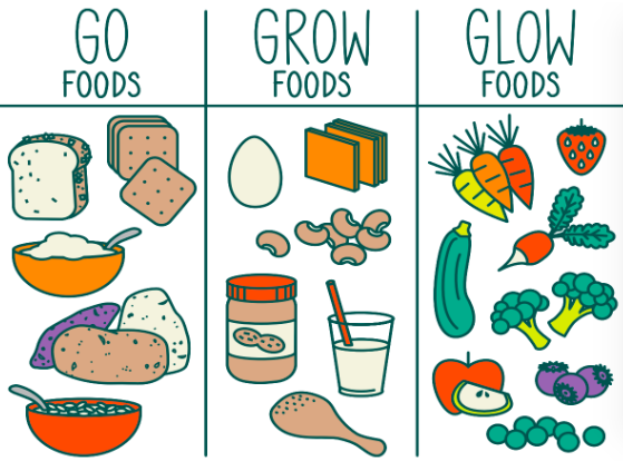 Nutrition Food Illustration Vector Graphic by Raw Materials Design ·  Creative Fabrica